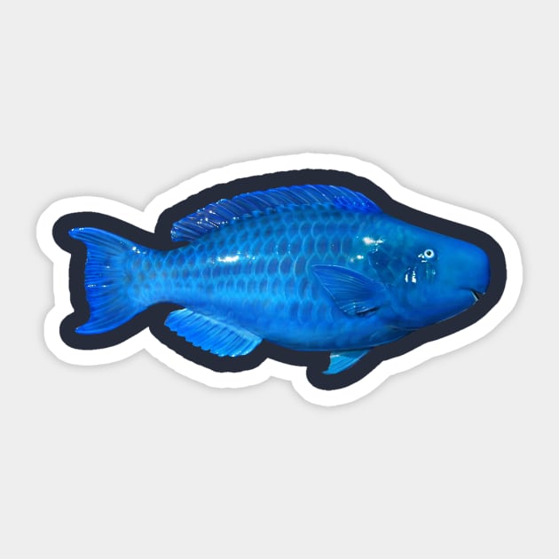 Blue Parrotfish Sticker by fishindecals